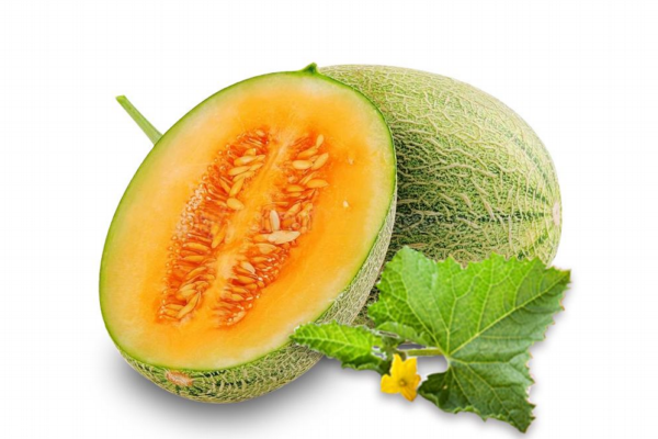 哈密瓜為什么有紋路 神奇的哈密瓜 哈密瓜為什么有紋路 神奇的哈密瓜