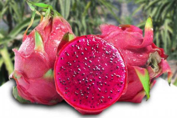 紅心火龍果為什么不甜 可能是這個(gè)原因 紅心火龍果為什么不甜 可能是這個(gè)原因