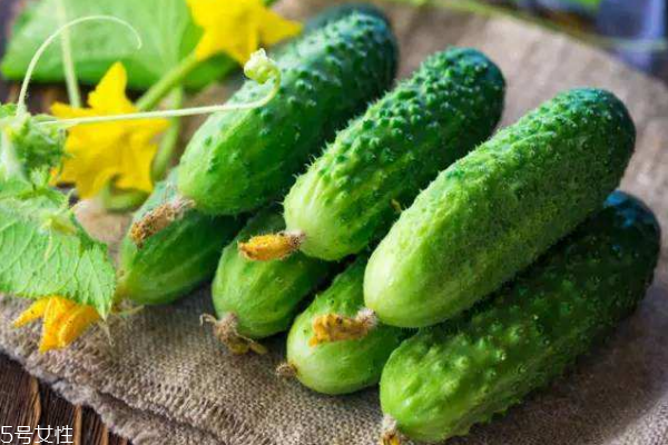 黃瓜熱量高嗎 答案在這里 黃瓜熱量高嗎 答案在這里