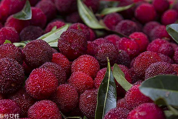 楊梅為什么能抗癌 是因為這些成分 楊梅為什么能抗癌 是因為這些成分