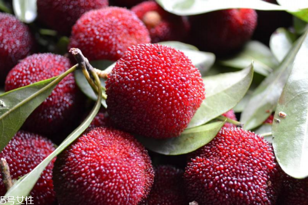 楊梅為什么能抗癌 是因為這些成分 楊梅為什么能抗癌 是因為這些成分