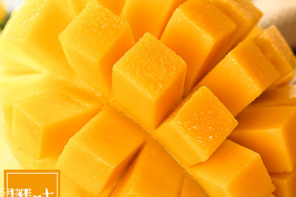 芒果為什么不能多吃 有7個(gè)原因 芒果為什么不能多吃 有7個(gè)原因