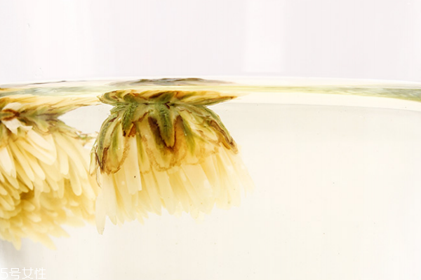 夏天喝什么菊花茶好 各個品種都適合 夏天喝什么菊花茶好 各個品種都適合