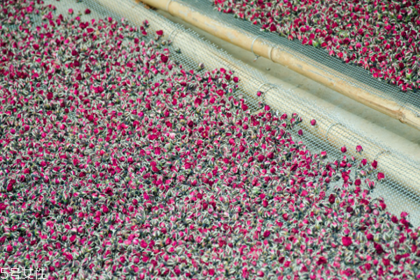 玫瑰花茶是大的好還是小的好 推薦是小朵 玫瑰花茶是大的好還是小的好 推薦是小朵