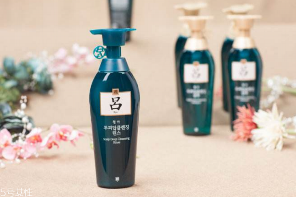 洗發(fā)水怎么選擇 4種洗發(fā)水各有優(yōu)勢(shì) 洗發(fā)水怎么選擇 4種洗發(fā)水各有優(yōu)勢(shì)