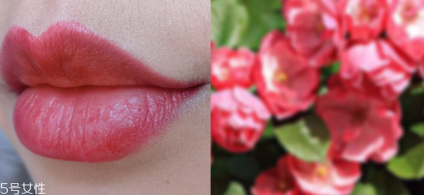 香奈兒63適合黃皮嗎 玫調(diào)姨媽色黃皮超美 香奈兒63適合黃皮嗎 玫調(diào)姨媽色黃皮超美