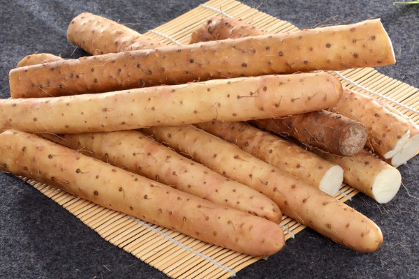 麻山藥長芽還能吃嗎？麻山藥和鐵棍山藥的區(qū)別