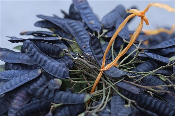 頭發(fā)白是什么原因引起的 不能治愈的白發(fā)病 頭發(fā)白是什么原因引起的 不能治愈的白發(fā)病