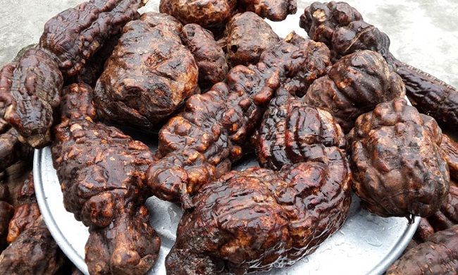 頭發(fā)白是什么原因引起的 不能治愈的白發(fā)病 頭發(fā)白是什么原因引起的 不能治愈的白發(fā)病