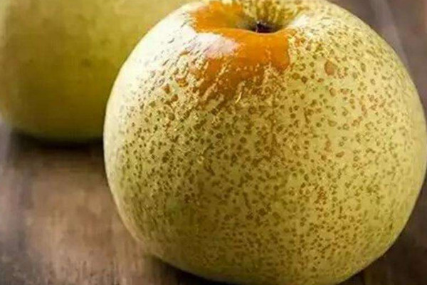 最大的梨是碭山梨嗎？碭山梨的功效與作用