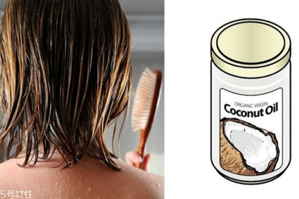 椰子油護(hù)發(fā)前要洗發(fā)嗎 椰子油在頭上停留多久 椰子油護(hù)發(fā)前要洗發(fā)嗎 椰子油在頭上停留多久