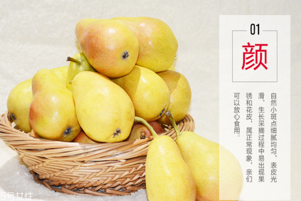 香梨是什么季節(jié)的水果 夏季的水果 香梨是什么季節(jié)的水果 夏季的水果