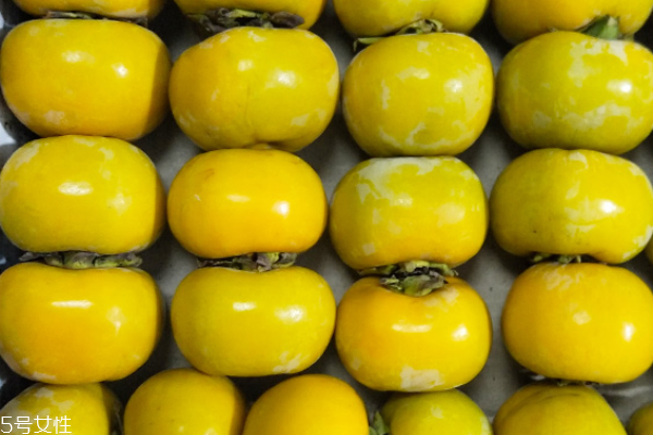 柿子為什么不能空腹吃 原來是這樣 柿子為什么不能空腹吃 原來是這樣