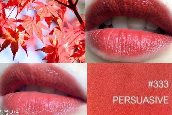 雅詩(shī)蘭黛333沾杯嗎 半啞光口紅略顯粘杯 雅詩(shī)蘭黛333沾杯嗎 半啞光口紅略顯粘杯