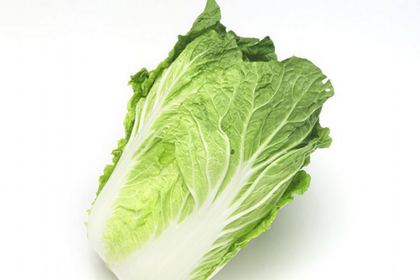 白菜沒(méi)洗能吃嗎 建議不要吃沒(méi)洗的 白菜沒(méi)洗能吃嗎 建議不要吃沒(méi)洗的