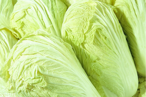 白菜沒(méi)洗能吃嗎 建議不要吃沒(méi)洗的 白菜沒(méi)洗能吃嗎 建議不要吃沒(méi)洗的