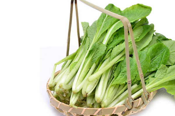 白菜怎么挑選 知道這些就夠了 白菜怎么挑選 知道這些就夠了