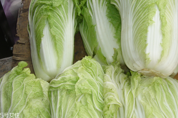 白菜怎么挑選 知道這些就夠了 白菜怎么挑選 知道這些就夠了