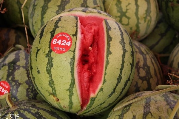 西瓜產地哪里最出名 全中國最優(yōu)秀的3大產地 西瓜產地哪里最出名 全中國最優(yōu)秀的3大產地