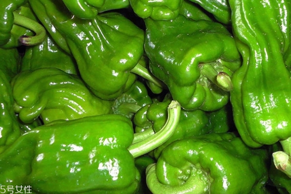 青椒怎么切 這樣切才對 青椒怎么切 這樣切才對