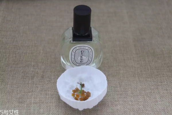 迪奧香水和diptyque香水哪個更持久 迪奧留香較短 迪奧香水和diptyque香水哪個更持久 迪奧留香較短