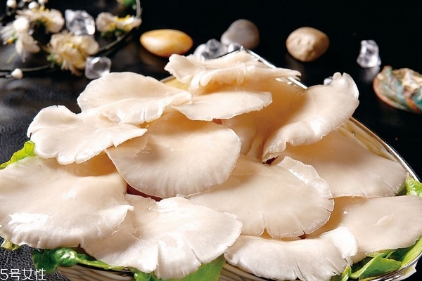 蘑菇需要陽光嗎 無需陽光就可生長 蘑菇需要陽光嗎 無需陽光就可生長