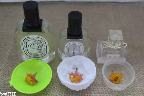 迪奧香水和diptyque香水哪個更持久 迪奧留香較短 迪奧香水和diptyque香水哪個更持久 迪奧留香較短