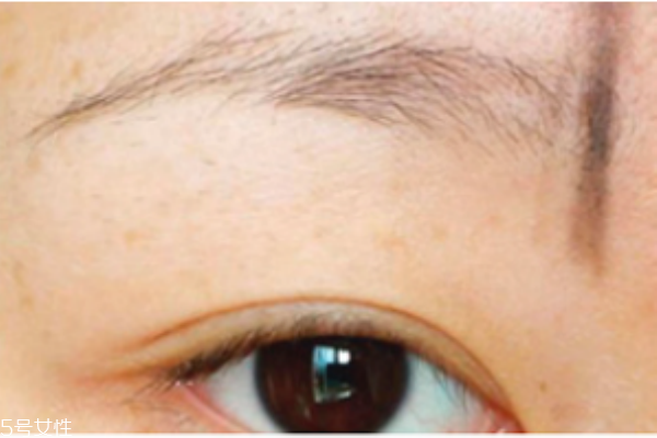 初學(xué)者怎么修眉毛 修出完美眉型 初學(xué)者怎么修眉毛 修出完美眉型