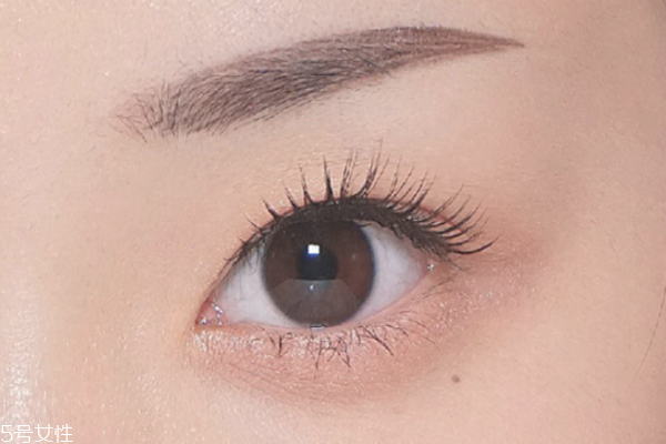 羽玉眉的畫法分解圖 羽玉眉適合的臉型 羽玉眉的畫法分解圖 羽玉眉適合的臉型