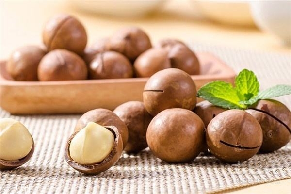 夏威夷果仁是什么顏色 一種偏白一種偏黃 夏威夷果仁是什么顏色 一種偏白一種偏黃