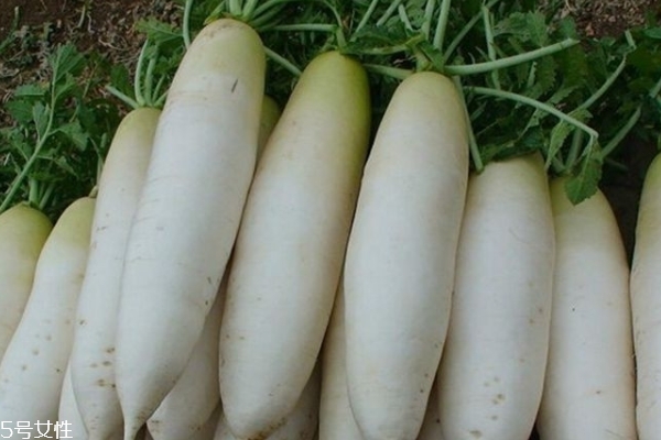 白蘿卜可以和玉米一起煲湯嗎 這樣無害 白蘿卜可以和玉米一起煲湯嗎 這樣無害