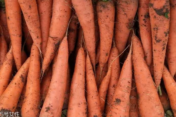 胡蘿卜為什么是紅色的 胡蘿卜素的顏色 胡蘿卜為什么是紅色的 胡蘿卜素的顏色