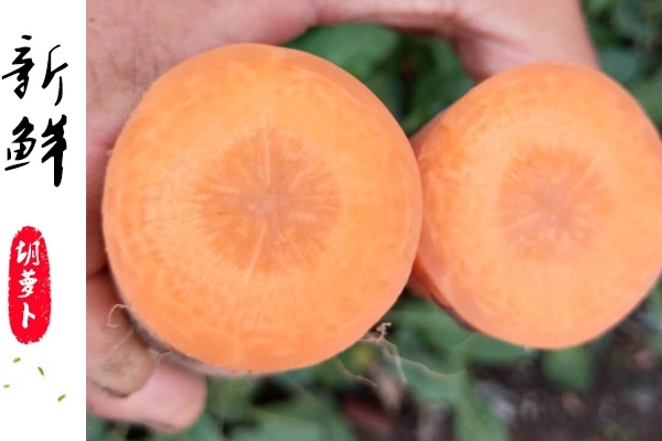 胡蘿卜為什么對眼睛好 因?yàn)檫@個(gè)成分