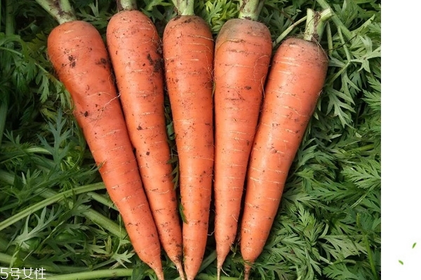 胡蘿卜為什么對眼睛好 因?yàn)檫@個(gè)成分