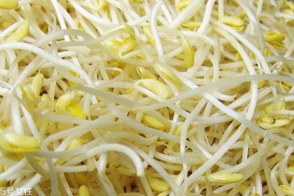 豆芽為什么苦 4個原因 豆芽為什么苦 4個原因