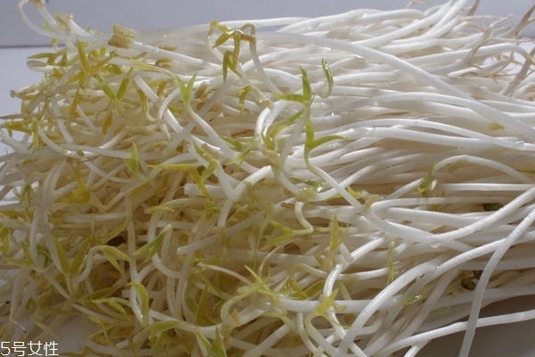 豆芽為什么苦 4個原因 豆芽為什么苦 4個原因