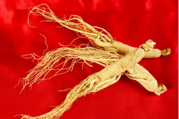人參泡水喝都有哪些功效 人參服用方法介紹 人參泡水喝都有哪些功效 人參服用方法介紹