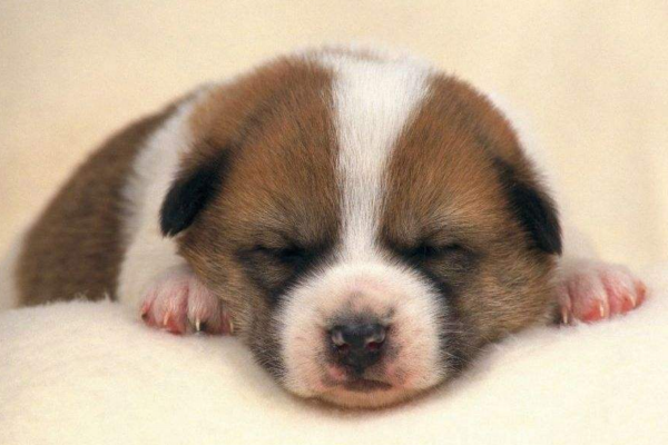 小測試睡的久就代表精神好嗎 小測試睡的久就代表精神好嗎