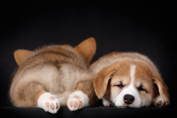 小測試睡的久就代表精神好嗎 小測試睡的久就代表精神好嗎