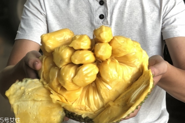 菠蘿蜜為什么不能和蜂蜜一起吃 會導(dǎo)致腹脹 菠蘿蜜為什么不能和蜂蜜一起吃 會導(dǎo)致腹脹