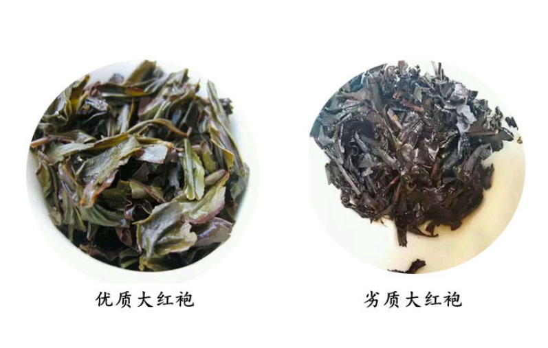 大紅袍的葉底顏色 和癩蛤蟆一個色 大紅袍的葉底顏色 和癩蛤蟆一個色