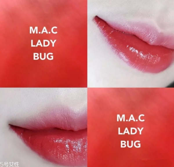 mac ladybug和迪奧999哪個好 mac ladybug試色 mac ladybug和迪奧999哪個好 mac ladybug試色