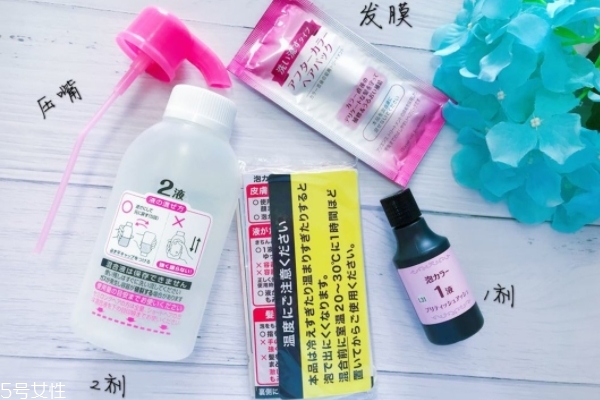 花王泡沫染發(fā)劑英國灰咖染發(fā)效果 氣質女王的發(fā)色