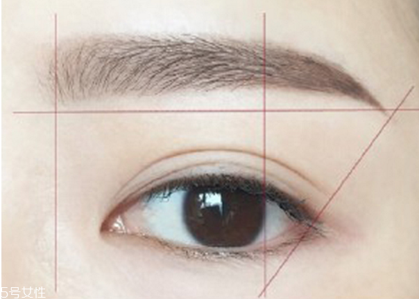 歐美野生眉怎么畫 眉毛的畫法步驟圖解 歐美野生眉怎么畫 眉毛的畫法步驟圖解