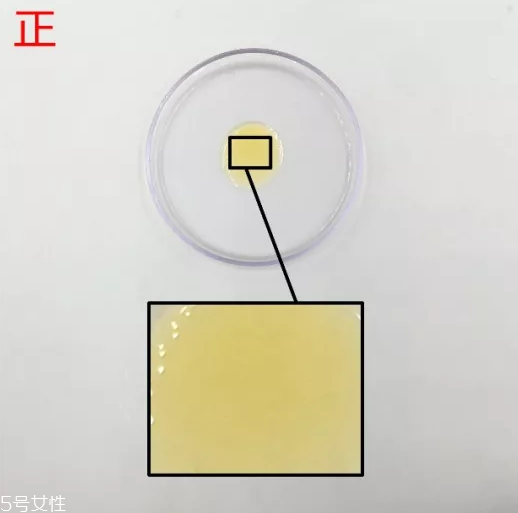 trilogy玫瑰果油真假辨別 6張對比圖輕松看真假 trilogy玫瑰果油真假辨別 6張對比圖輕松看真假