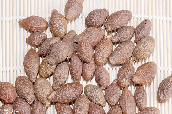 胖大海怎么挑選 照著選準沒錯 胖大海怎么挑選 照著選準沒錯