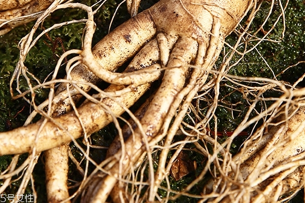 野山參怎么吃 這樣吃效果最好 野山參怎么吃 這樣吃效果最好