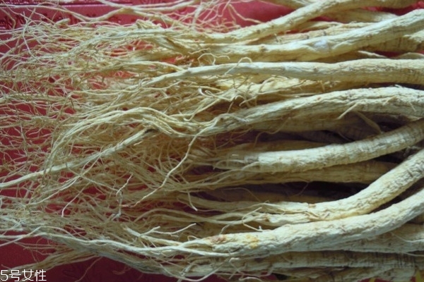 野山參會上火嗎 濫用會上火 野山參會上火嗎 濫用會上火