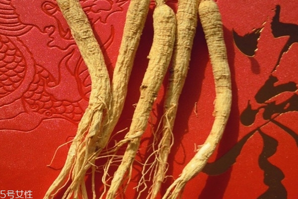 野山參會上火嗎 濫用會上火 野山參會上火嗎 濫用會上火