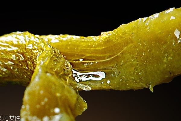 石斛是粗的好還是細(xì)的好 這樣選就沒錯(cuò)了 石斛是粗的好還是細(xì)的好 這樣選就沒錯(cuò)了